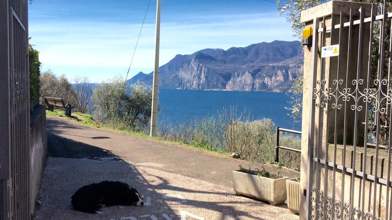 Villa Gaia Malcesine Luaran gambar